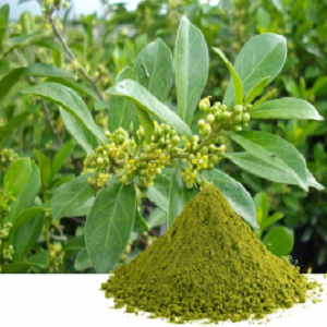 Vitamina C
